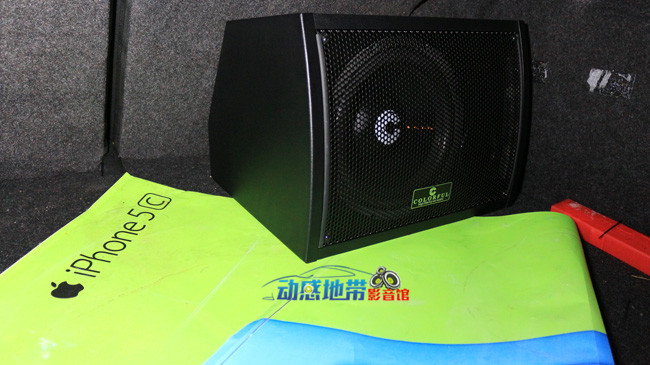 8卡萊D250L低音.jpg