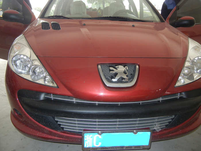 標致207 魔立方A-165x-image1.jpg