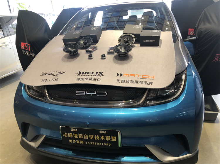 比亞迪海豚.jpg